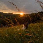 Svadobný fotograf Poprad